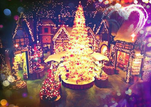 恋综相亲：我和渣女小姨恋爱了畅读（庄言陆烟）已完结，恋综相亲：我和渣女小姨恋爱了畅读已完结