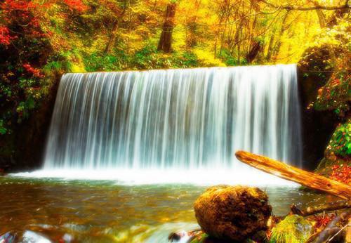 余凛轩唐幂婉（余凛轩唐幂婉）全文免费阅读无弹窗大结局_余凛轩唐幂婉免费阅读无弹窗最新章节列表（余凛轩唐幂婉）