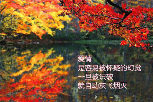 尽态极妍云答应容妃无弹窗小说全集阅读