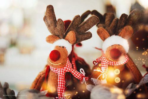 李康蓉蓉免费全文 李康蓉蓉小说在线阅读