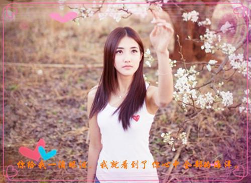 元蘅怀民元贞全文免费大结局 元蘅怀民元贞小说在线阅读