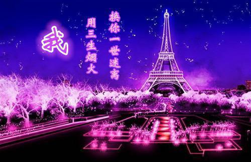 (最新)金宝珠江博年小说完整版免费阅读