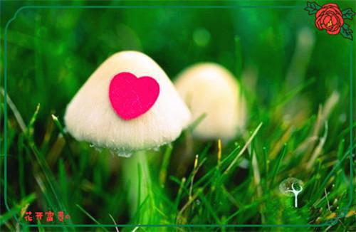 徐铭王倩倩小说名字 徐铭王倩倩全文免费阅读