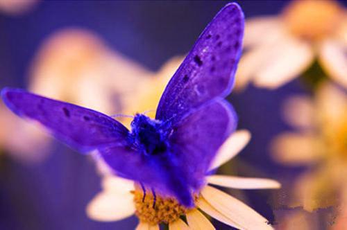 李亮欣欣全文阅读 李亮欣欣小说最新章节