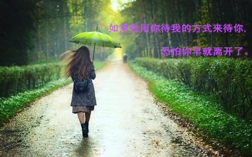 徐沁宁张雯徐清月小说全文 徐沁宁张雯徐清月小说免费阅读大结局