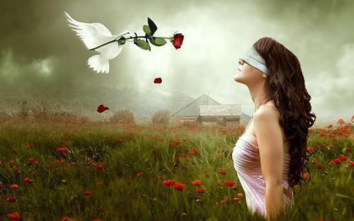 我和情敌在一起了全文免费阅读 (陆铮蒋瑶瑶江澄安)小说无弹窗广告