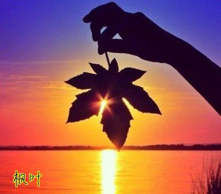 柳青青陆桓林颖免费全文 柳青青陆桓林颖小说在线阅读