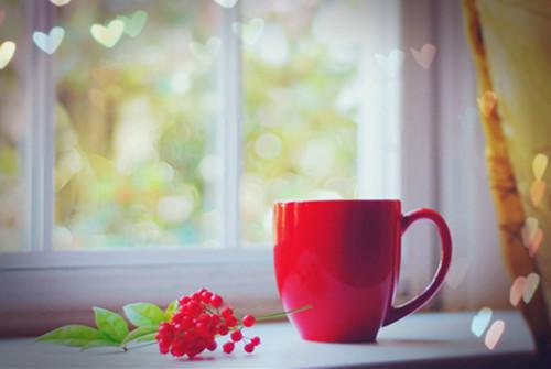 贺总夫人又来蹭气运了贺忱阅读无弹窗大结局_（姜糖贺忱阅读无弹窗）最新章节列表