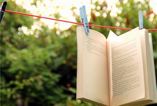 沈词高司桁小说阅读 沈词高司桁全文免费无广告