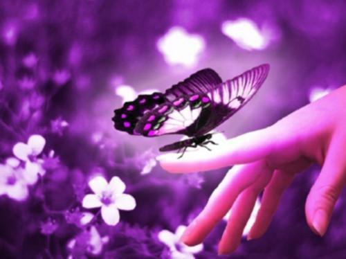 沈宛如沈棠的小说 嫡姐是凤命之女，等着皇帝主动爱上她小说免费阅读