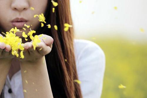 (完整版)苏护小说免费阅读无广告