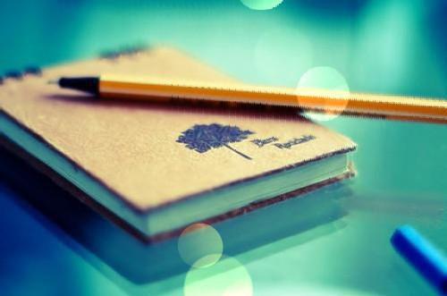 全家病弱，废土拾荒运道嘎嘎旺免费读全文 冷轩祁煦小说无弹窗