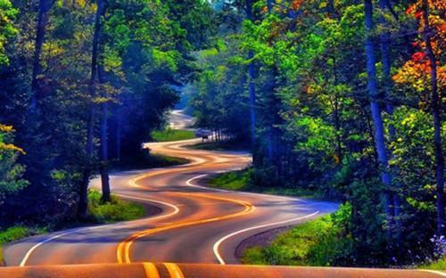 顾瑜秦苒小说免费试读 顾瑜秦苒第5章