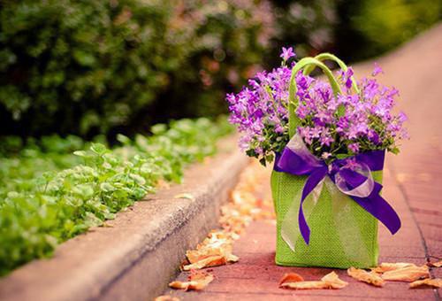 太子嫌我无才，我退婚后他又疯了陆明珠魏承稷谢思韵全文免费阅读(已完结)