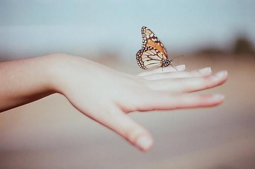 (抖音小说)裴文琴声声许媛小说全文阅读免费