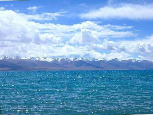 沈云娇萧怀谨小说 沈云娇萧怀谨全文免费阅读