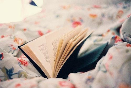 离婚后，我打造财富帝国APP内免费阅读完整版(苏琉璃赵山河小说全集)