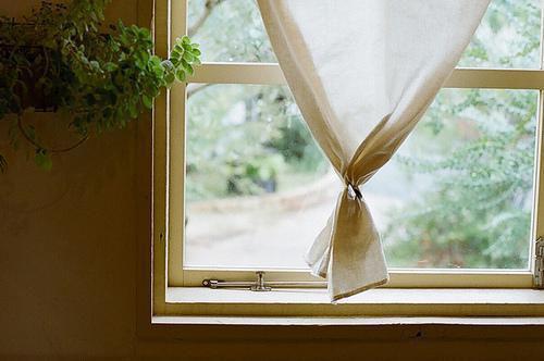 (完整版)沈清月裴知宴小说免费阅读无广告