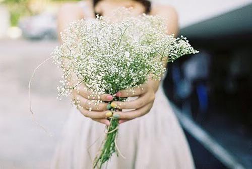 顾瑾江流生全文最新章节正版小说免费阅读