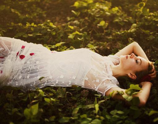 主角沈风清尘小说 沈风清尘小说全文免费阅读