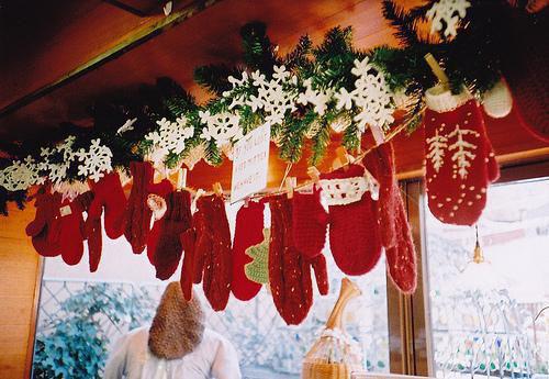 我和你的笑忘书免费章节抢先阅读