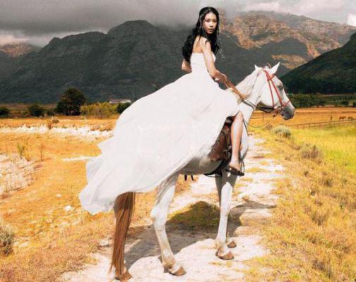 《陆景川林晚晚小说》无弹窗全文免费阅读