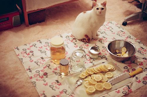 三毛小林全文阅读 三毛小林小说最新章节