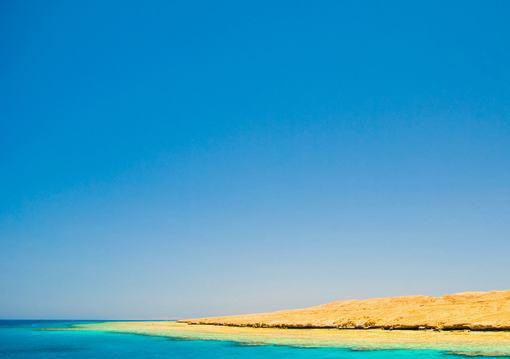 傅砚珩阮秋序全文阅读最新 傅砚珩阮秋序小说目录