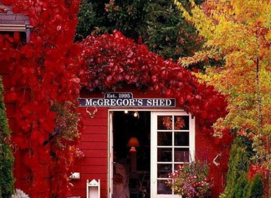 孙雨熙元丽免费阅读第2章 孙雨熙元丽大结局