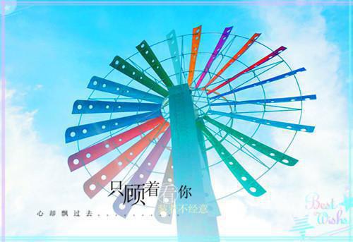 我没出息了好多年免费阅读 主角顾佳顾原