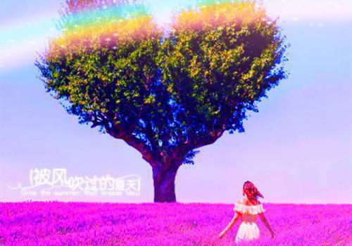 向晚沅盛砚淮小说在线阅读 向晚沅盛砚淮最新章节目录