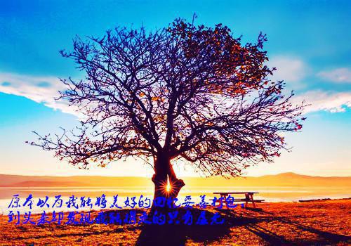 资助风波小说全集 周莉安玫无弹窗在线阅读