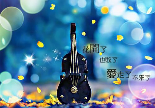 姜珊珊薛松小说 姜珊珊薛松完整版免费阅读