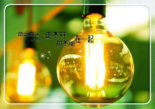 林冉傅行简免费小说（复沦陷傅行简）全文免费阅读_林冉傅行简免费小说林冉傅行简小说最新章节列表