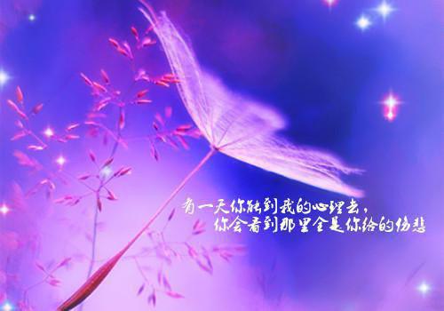 顾明月周尧小说最新章节 顾明月周尧免费阅读