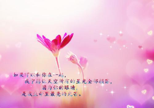 叶凡苏雅免费阅读小说 叶凡苏雅第12章