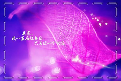 修仙未成先有了道侣，&ldquo;这无情道不修也罢。&rdquo;无弹窗阅读 元城小四季禛小说