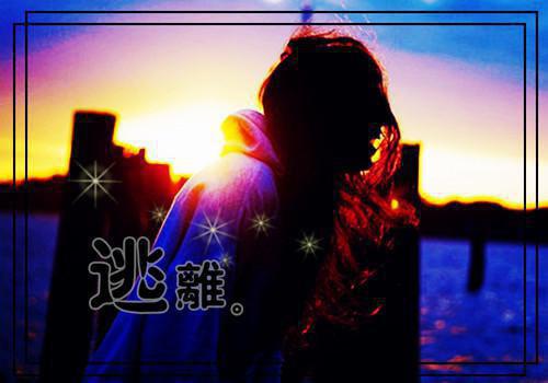 忘不了白月光的女人我不要林轩陈佳佳宋彦完整版小说全文章节app内免费阅读