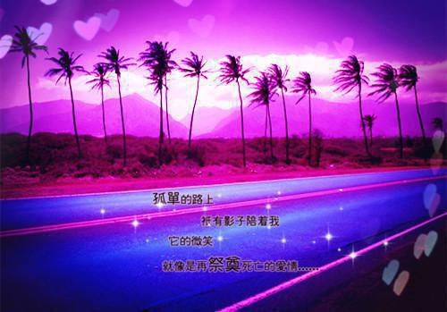 不死之身木子 萧炎许袅小说