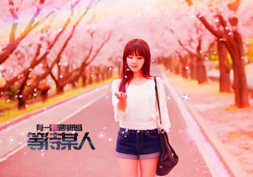 江语柠宋尧阅读_江语柠宋尧言情小说全文阅读