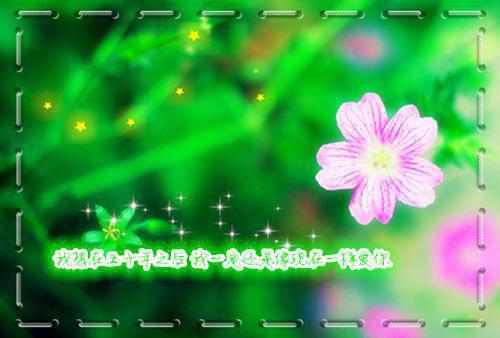 打胎后，老公的白月光后悔了全本小说阅读 顾媛林思宇田恬全章节目录