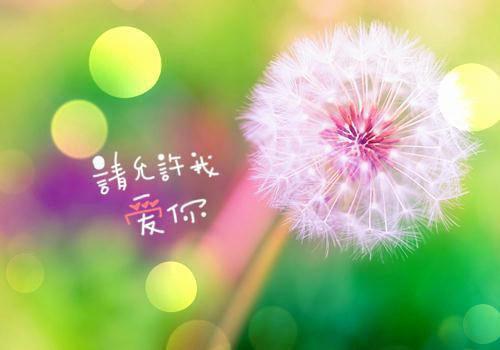 陈聪免费阅读第三章 陈聪大结局