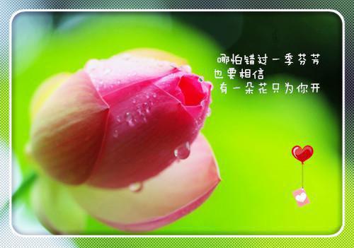 谢苒顾一瑾第2章 谢苒顾一瑾小说免费阅读