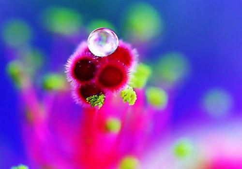 八皇姐不愿和亲，便和新科状元私了奔。小说完整版 牛绍元段芷文在线阅读