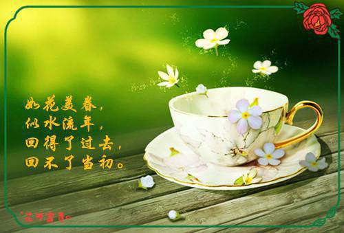 小说祁尧魏洛瑶完整版在线阅读魏洛瑶祁尧精选小说推荐试读