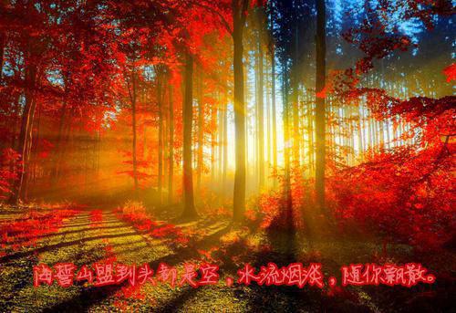 主角是宋随州江云禾的小说-江云禾宋随州全文无弹窗免费阅读