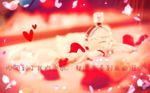 素娅齐素晴宋太傅主角的书 面换全文阅读免费