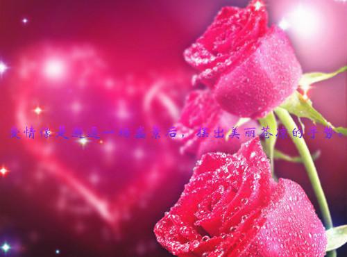 宋清言江嘉弥免费阅读 宋清言江嘉弥最新章节目录