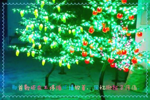 海皇皎月灵沧君是哪部小说的主角 海皇皎月灵沧君全文阅读