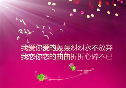 (抖音小说)许玉芳谢恒泽小说全文阅读免费